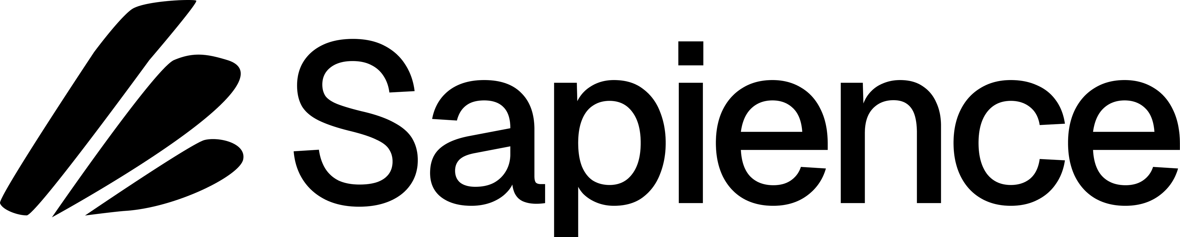 Sapience logo